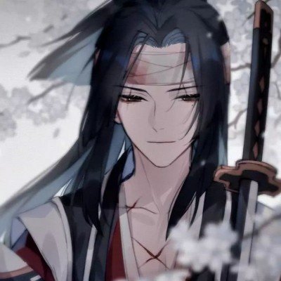 郑丽文参观国产飞机